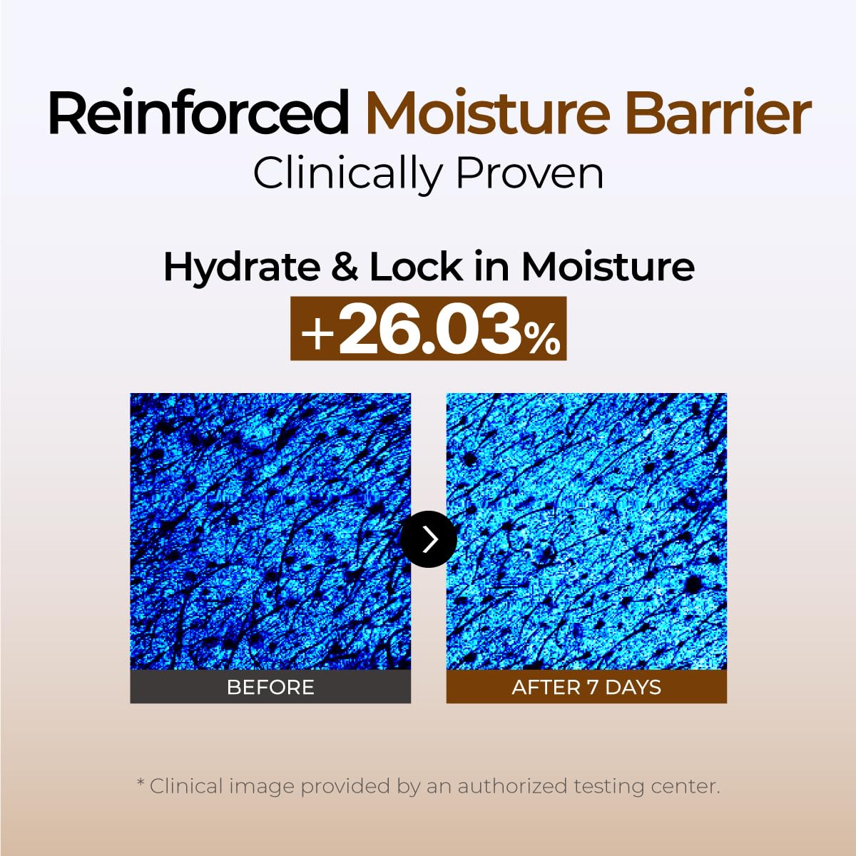 IZEZE BLACK Cumin NSA Enrich Cream 1.69 fl.oz, 50 ml | Antiwrinkle Moisturizer, Barrier Repair and Nourishing, Korean Skincare for Dry Skin, Skin Cream for Aging Skin - Image 4