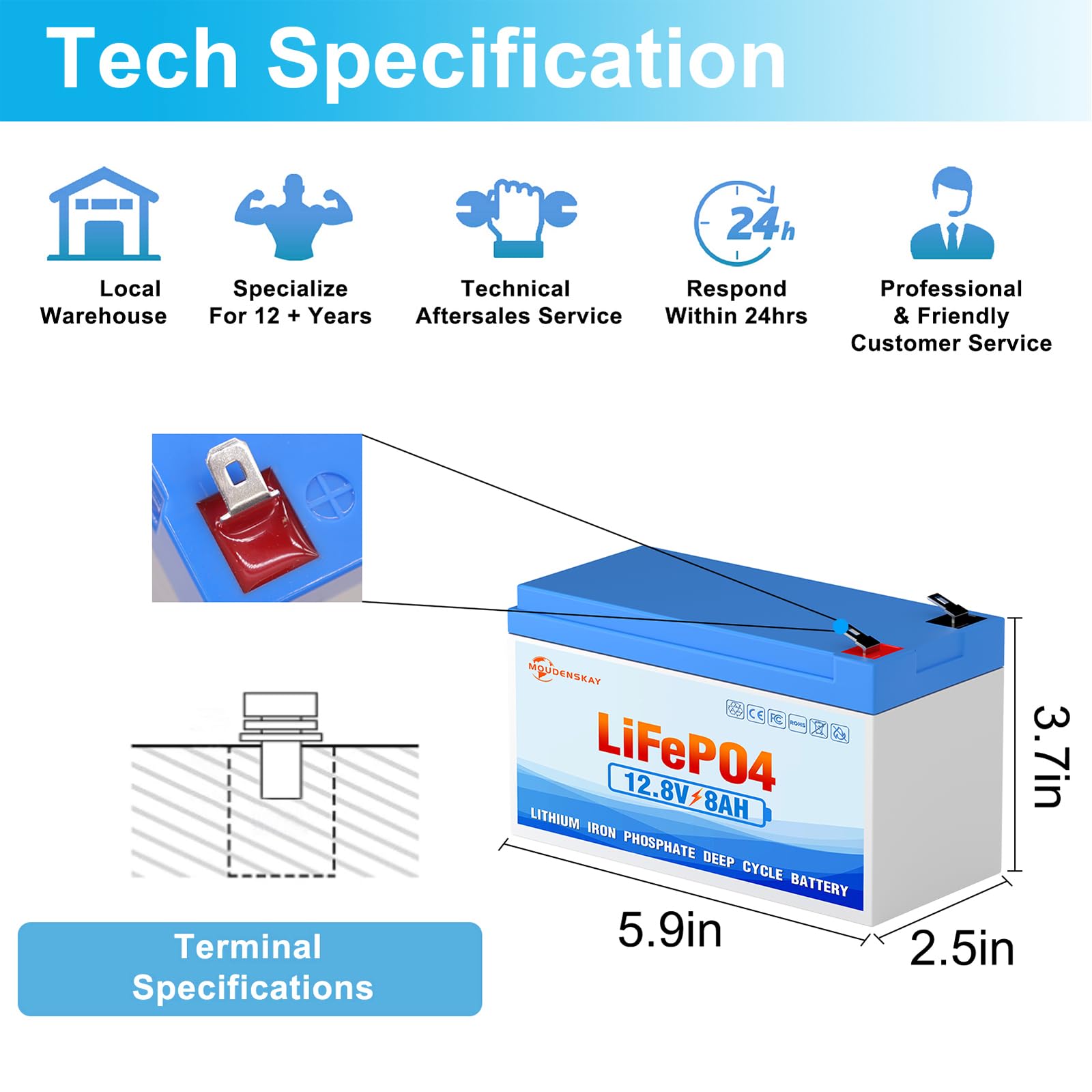 Batteria al litio LiFePO4 12V 8Ah al litio e al fosfato con oltre 3000 volte cicli profondi e protezione BMS,per illuminazione di emergenza,campeggio,impianti di alimentazione