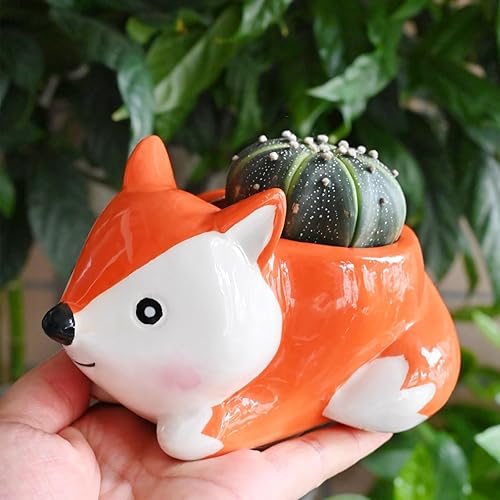 Miniatura 4 de Bonita maceta de zorro de dibujos animados, maceta para suculentas de interior, material de cerámica, diseño de drenaje, regalo ideal para