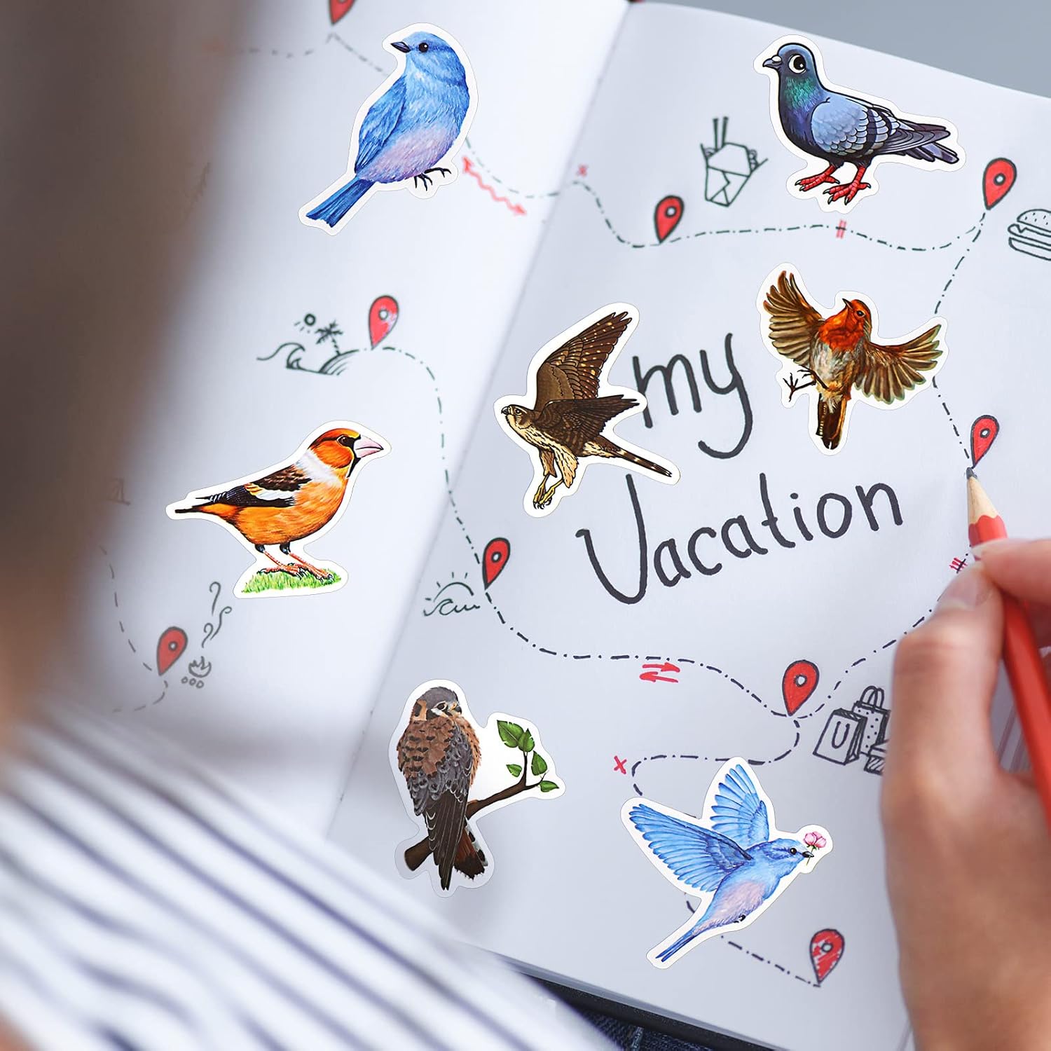 200 Pcs Birds Stickers Vinyls Waterproof Animal Cartoon Bird Decal for Kids Teen Christmas School Classroom Gifts Water Bottles Laptop Luggage Phone Skateboard Refrigerators Computer Supplies