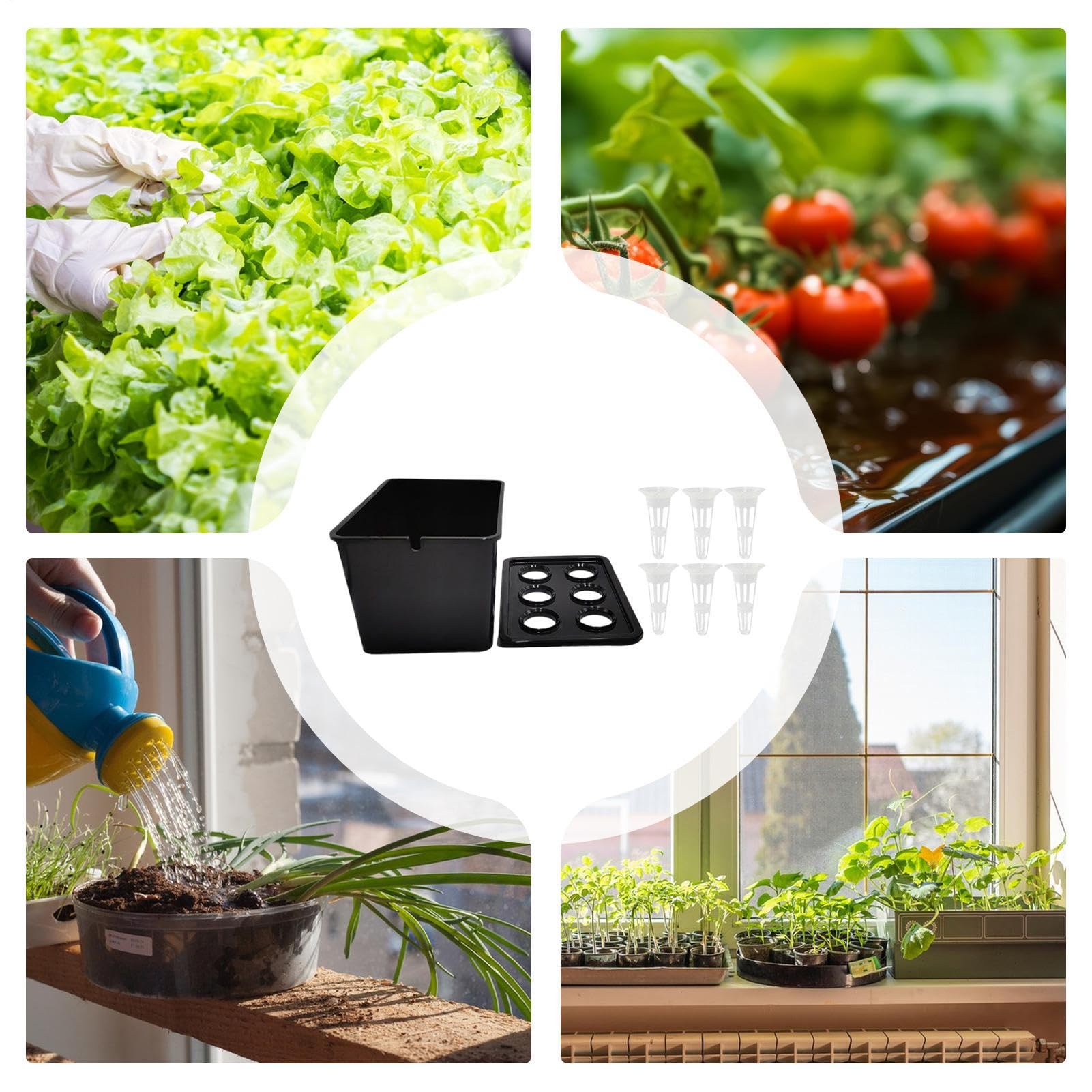 Hydroponics Growing System Kit6-Holes Germination SystemSoilless Cultivation Box | for Vegetables Flowers Fruits Indoor Outdoor Garden Greenhouse Farm Backyard Windowsill Balcony product thumbnail 5