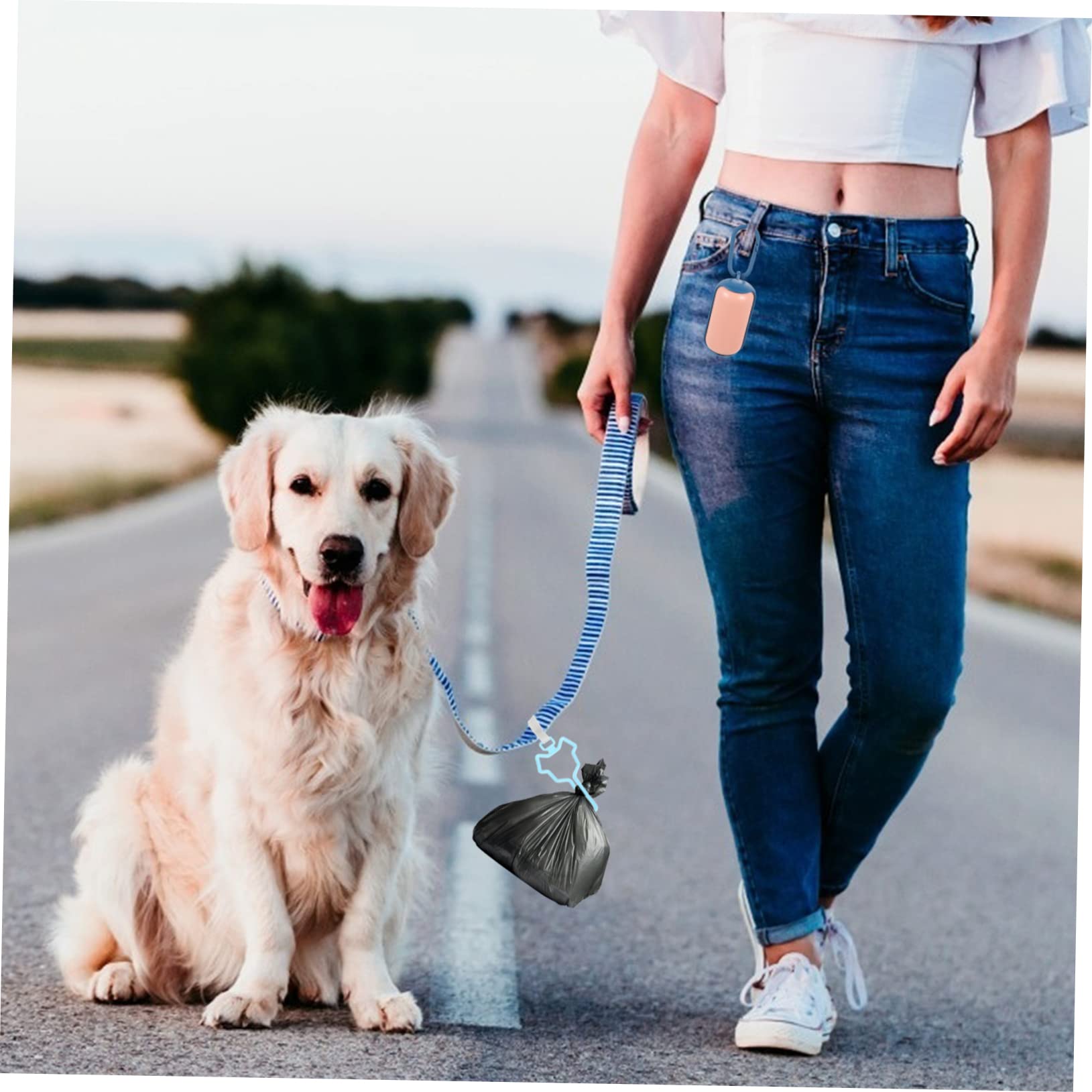 Porte-paquet à Déjections Canines à Pince pour Laisse, Lot de 5