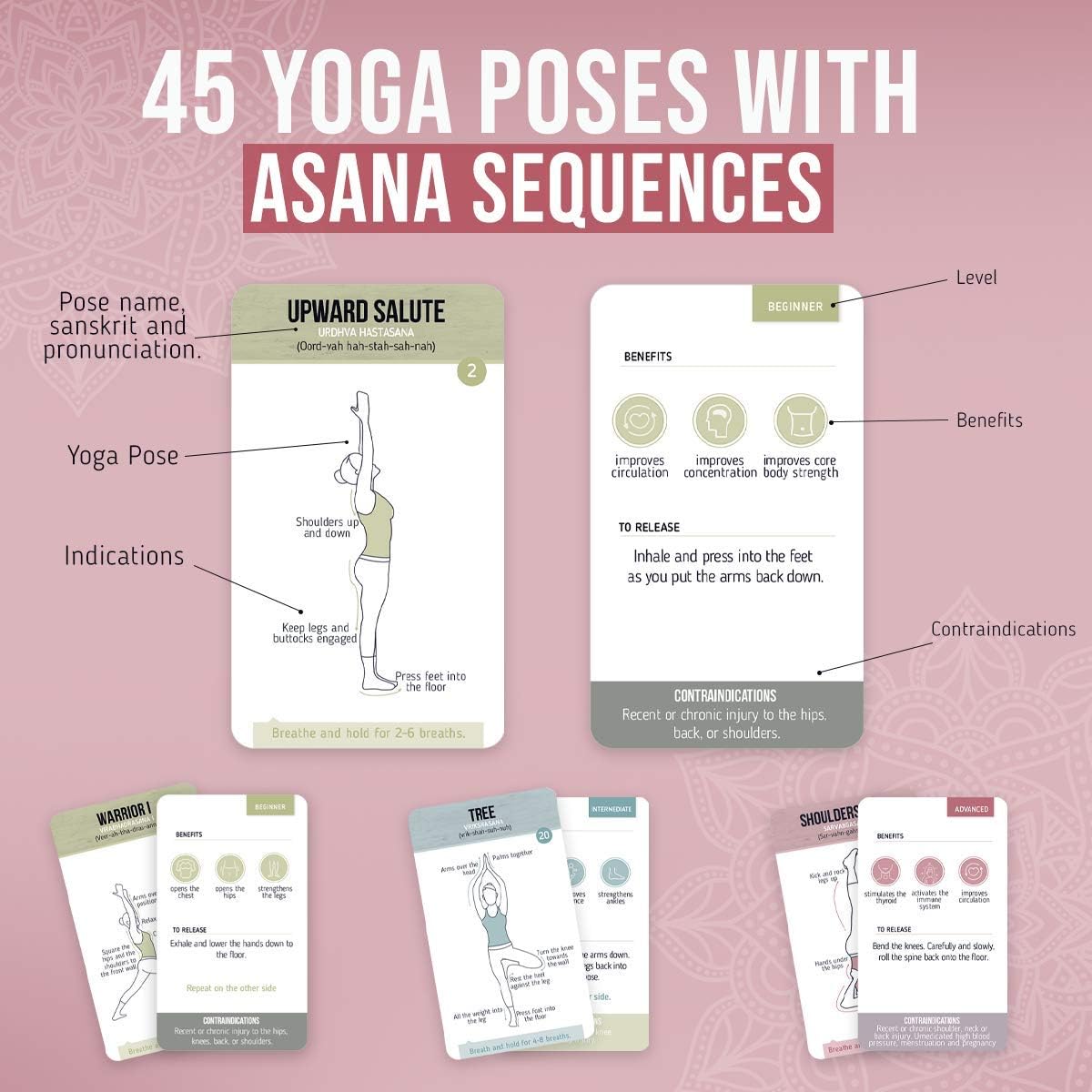 merka Yoga Flashcards - Workout Flash Cards for Women 50 Cards Asana Yoga Poses Positions and Exercises Made by Women for Beginners Starters or Masters of Yoga : Sports & Outdoors