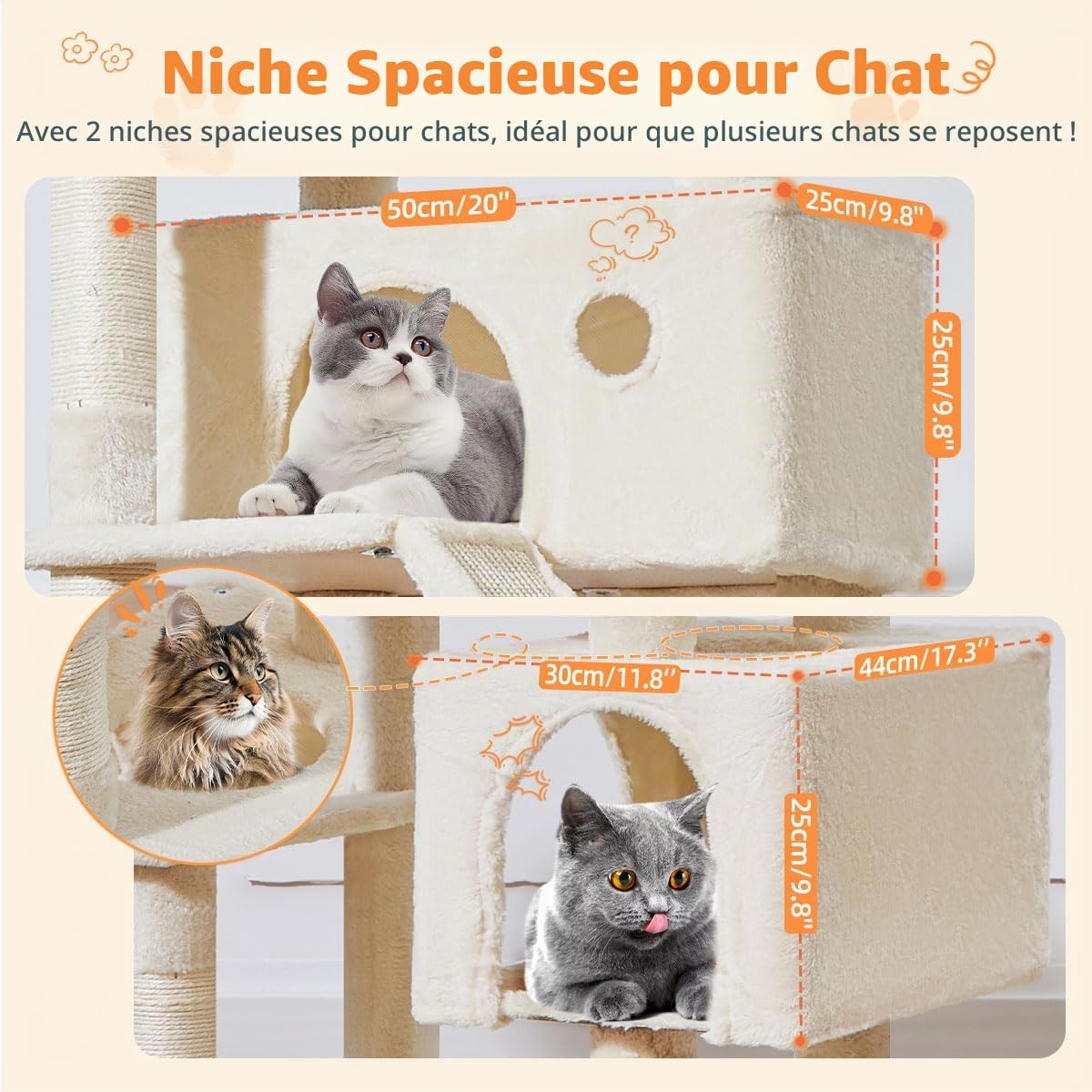 Taoqimiao Arbre a Chat Maine Coon,180cm Stable Arbres à Chat XXL avec 2 Condos Spacieux pour Chats, 8 Griffers, 2 Plateformes, Panier pour Matou, Confortable Hamac, Beige MS026LM