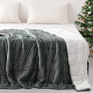 Syrinx Queen Size Weighted Blanket 20 lbs for Adults Heavy (60"x80", Dark Grey) with Soft Sherpa & Minky Fabric, Cozy Fuzzy Fleece Plush Bed Blanket for Sleep