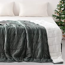 Syrinx Queen Size Weighted Blanket 20 lbs for Adults Heavy 60"x80", Dark Grey with Soft Sherpa & Minky Fabric, Cozy Fuzzy Fleece Plush Bed Blanket for Sleep