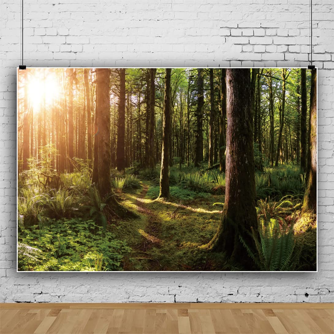 Tropical Rainforest Coniferous Forest Moss Fall Tree Photography Backdrops Prop Jungle Nature Landscape Theme Background Zl 13 - View #7