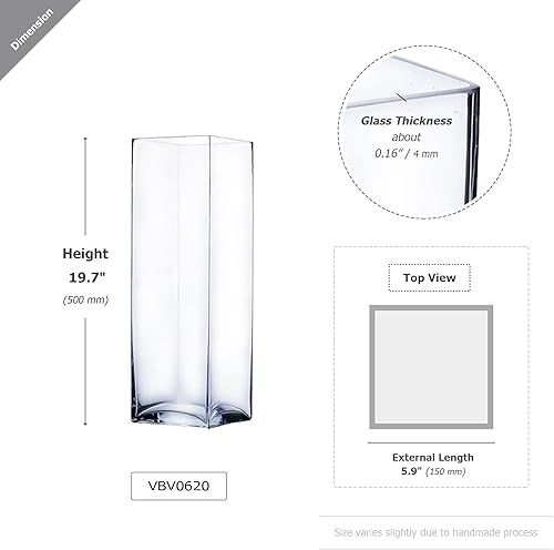 Miniatura 6 de WGV Square Block Glass Vase, Length 6", Height 4", Clear Planter Terrarium, Floral Container for Wedding Party Event, Home Office Decor, 1 Piece
