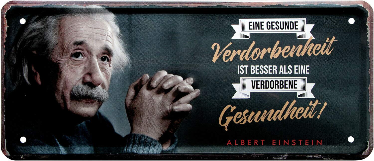Albert Einstein 2053 Decorative Tin Sign 28 x 12 cm