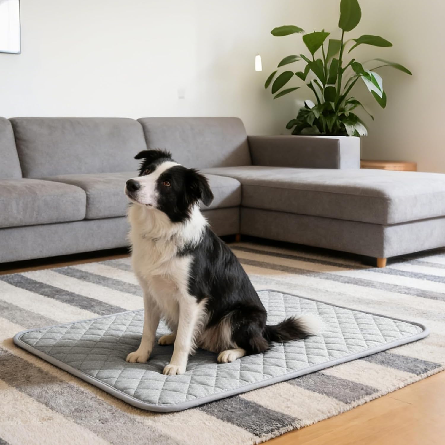 Cooling Mat for Dogs: Premium Waterproof Dog Cooling Blanket, 5-Layer Materials Dog Cooling Mat, Washable Pet Cooling Mat for Summer, Silver Grey Mats Large Dogs