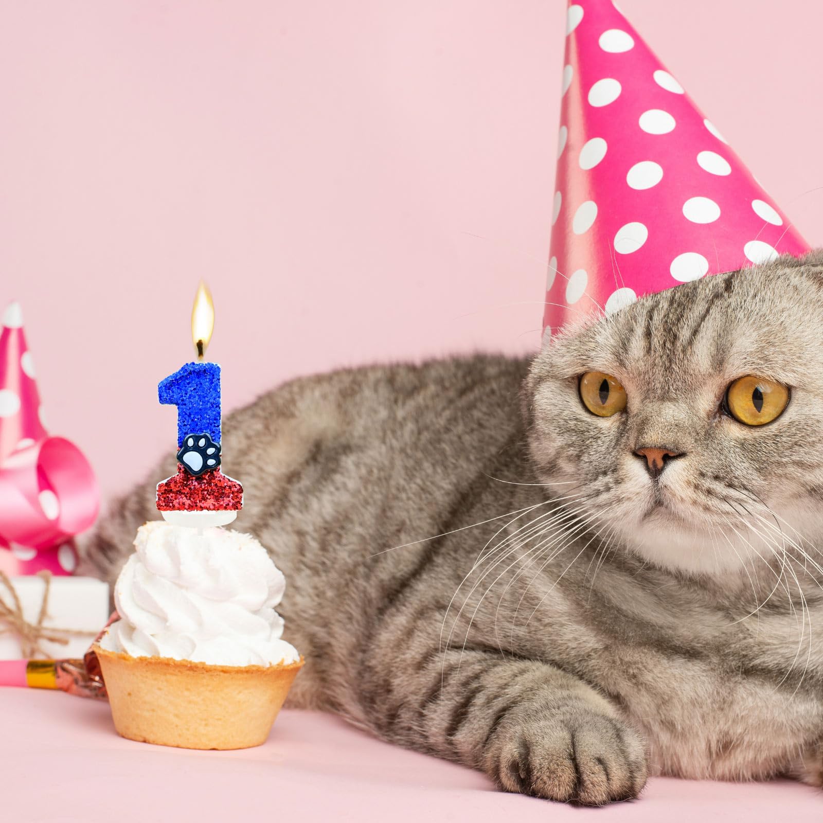 Velas Aniversário Número 0 - Tema Gato E Cachorro Com Design De Patinhas