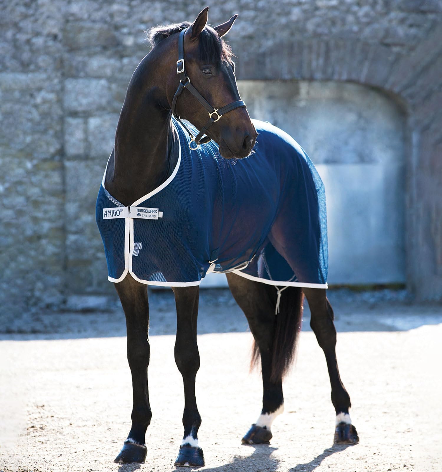 Horseware Amigo Net Cooler - navy/silver