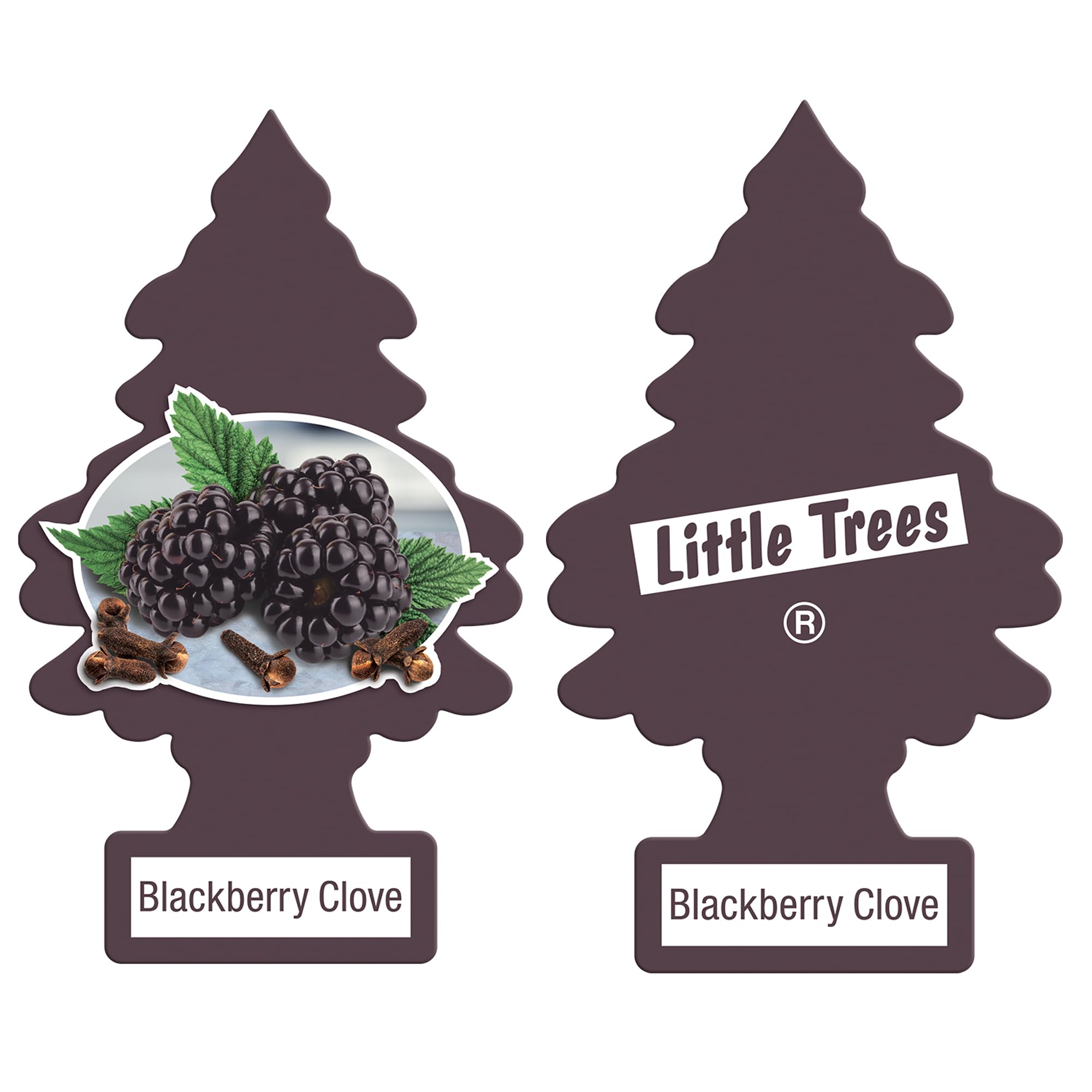 Amazon.com: Little Trees DAS-17343 Car Air Freshener | Hanging