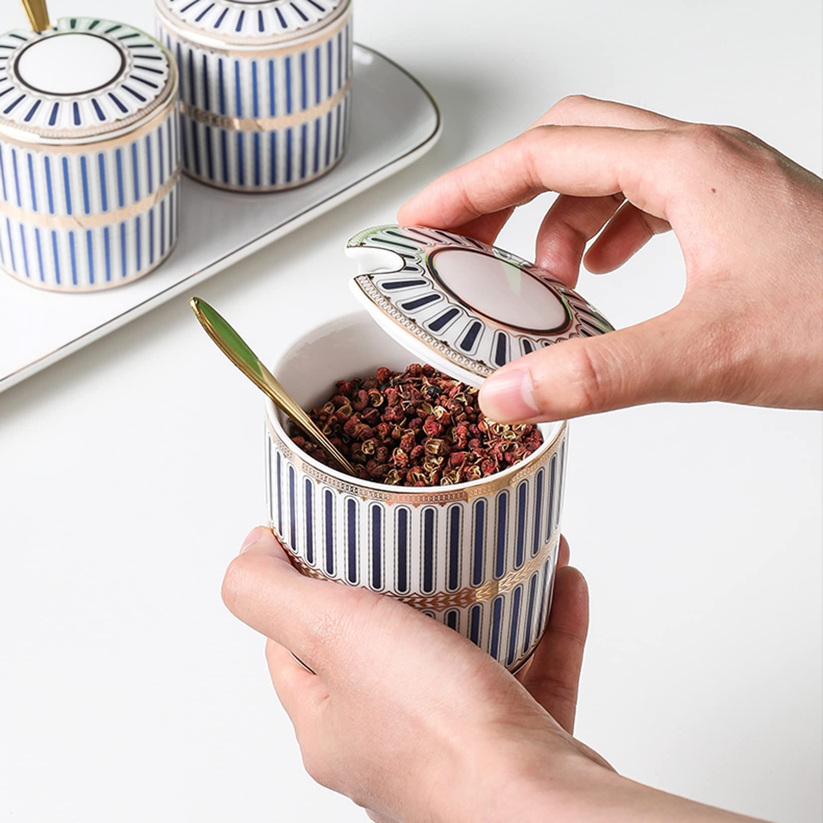 Pots à épices en céramique de Peinture colorée, contenants d'épices de Luxe légers, Pots de Condiments de sel de Cuisine et de Sucre avec couvercles, cuillères et Plateau,Blue/Set of 2