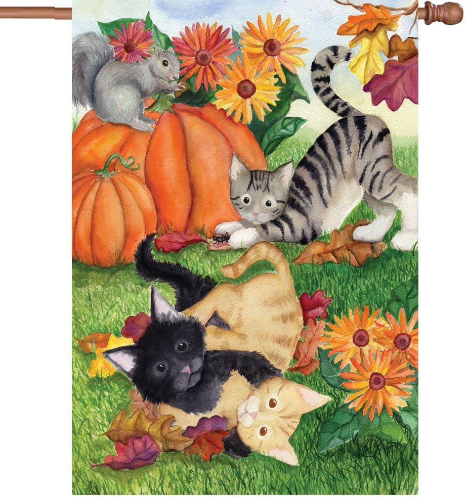 Premier Kites 52061 House Illuminated Flag, Harvest Kittens, 28 by 40-Inch