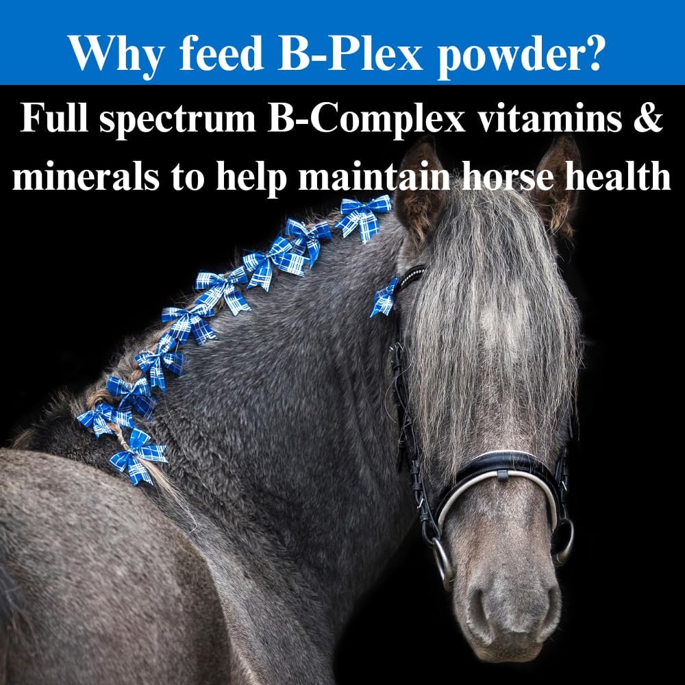 SU-PER B-Plex Powder Equine Vitamins - Complete B-Complex Horse Vitamins and Minerals Supplement - Healthy Hooves, Red Blood Cells, Horse Calming Powder - 12.5 Pounds, 6 Month Supply (180 Days)