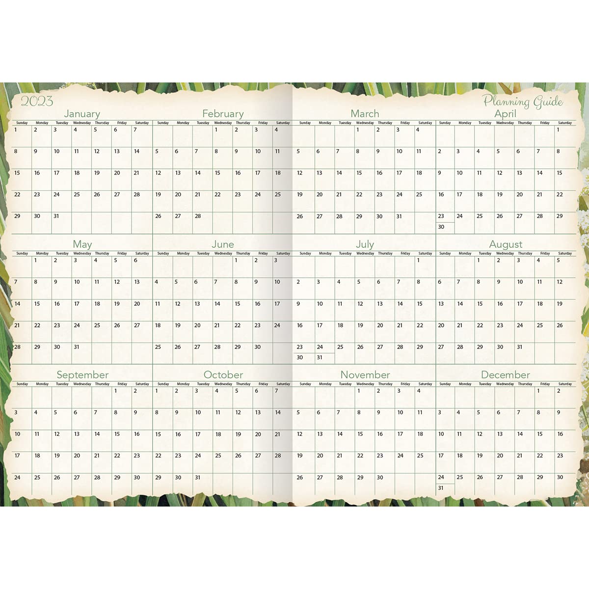 LANG Songbirds™ 2023 - Agenda tascabile mensile (23991003167)