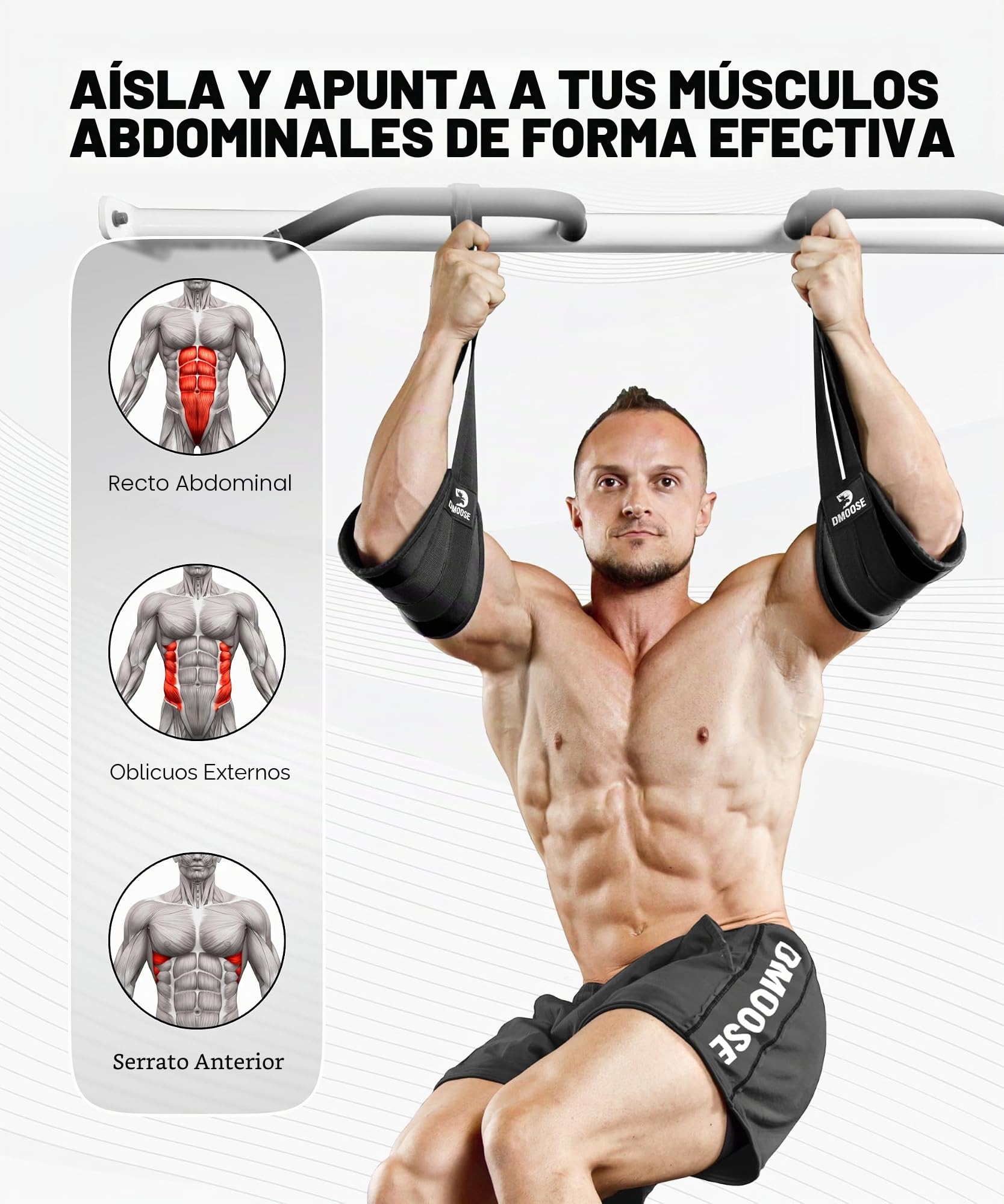 DMoose Fitness Ab Correas - Ejercitador de gimnasia para el hogar Six Pack - Soporte y costuras de doble correa, tejido antidesgarro, relleno de brazo más largo y grueso - Equipo de entrenamiento de Grado superior para hombres y mujeres