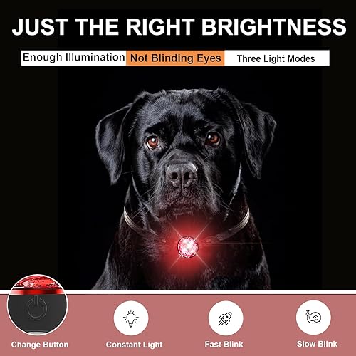 Miniatura 2 de Dog Collar Lights for Nighttime Clip on, 3 Modes Dog Light Rechargeable, 100% Waterproof Light for Dog Collar to See Dogs at Night. Durable Silicone