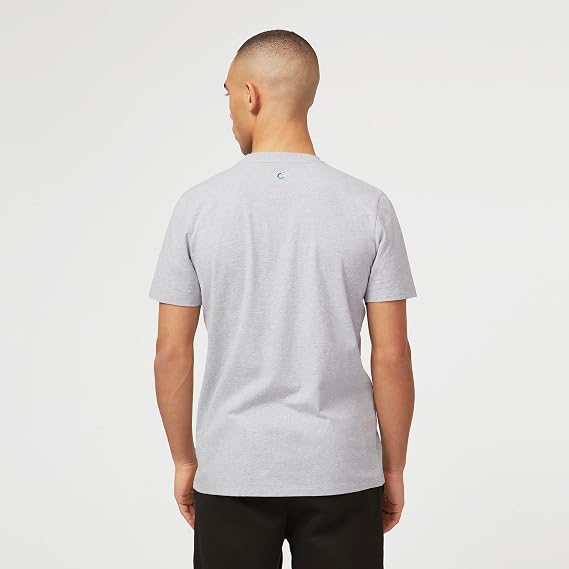 Mercedes AMG Petronas Formula One Team - Official Formula 1 Merchandise - Large Logo T-Shirt - Grey - XS
