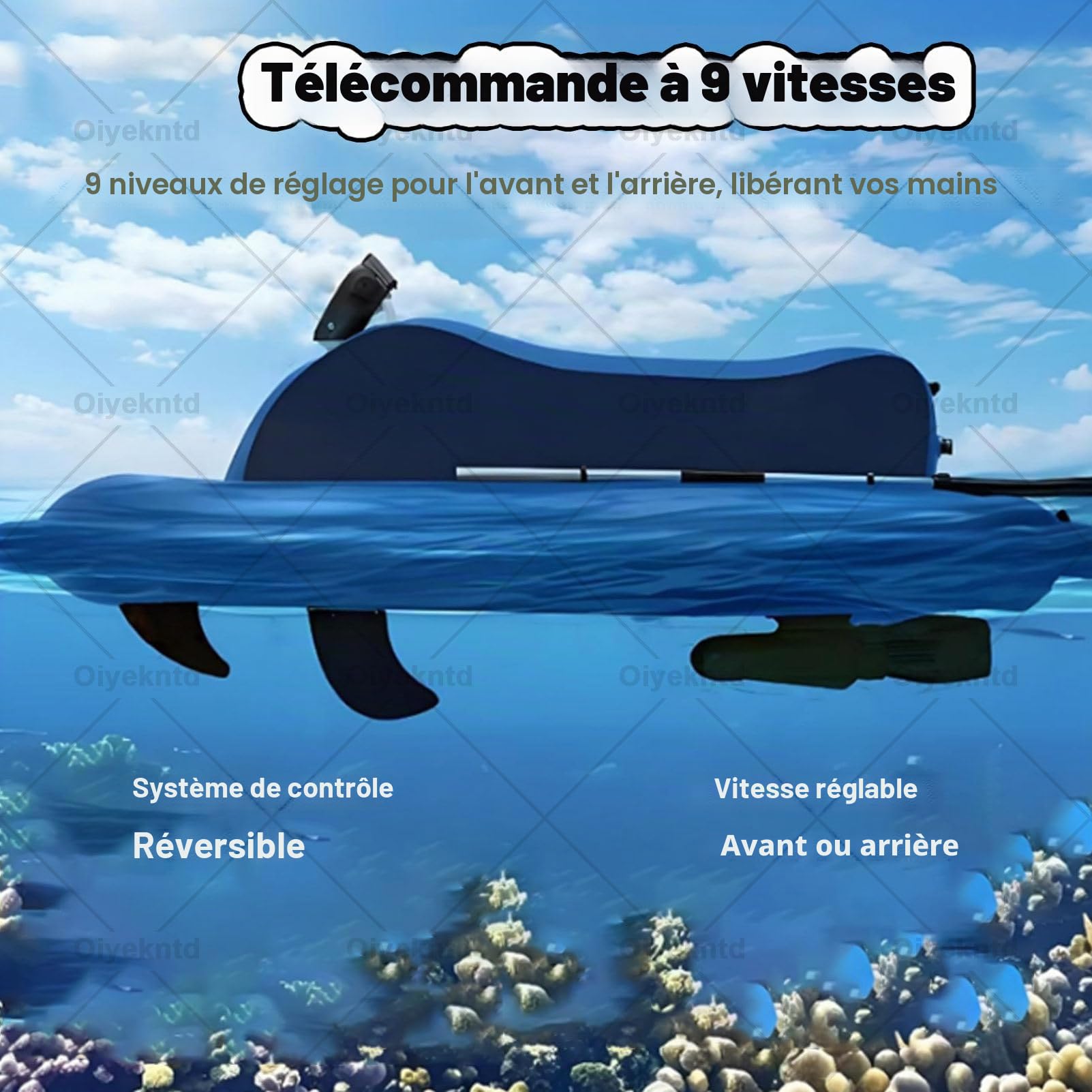 Jet-ski gonflable motorisé / Jet-boat électrique gonflable pour adultes avec moteur 500 W/700 W, capacité de charge max. 150 kg (330 lb), pour la mer, la piscine et les sports nautiques 500W16A