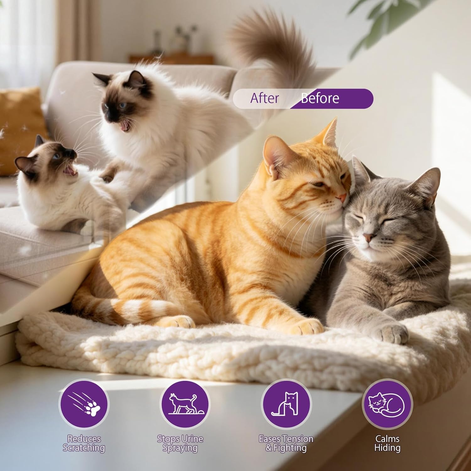 Cat Calming Pheromone Refills (120-Day Supply) – 4 x 48ml Replacement Vials ONLY (Diffuser Not Included) – Helps Reduce Urine Spraying & Scratching – Unscented Stress Relief