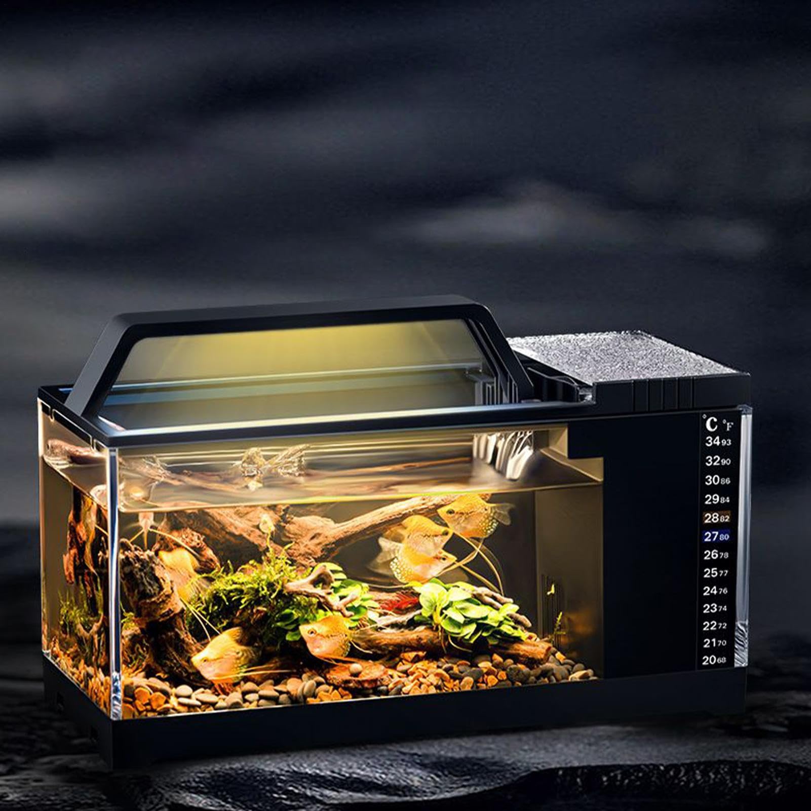 Acuario Para Betta Bomba Silenciosa Claridad Cristalina Accesorios De | Acuario Con Filtro Y Luz Decoración Hogar Para Dormitorio, Sala, Camarones, Medusas, Guppys
