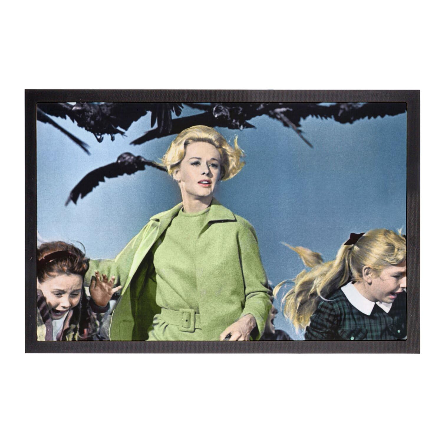 Paillasson Les Oiseaux tapis entrée anti-poussière cinéma vintage 60x40