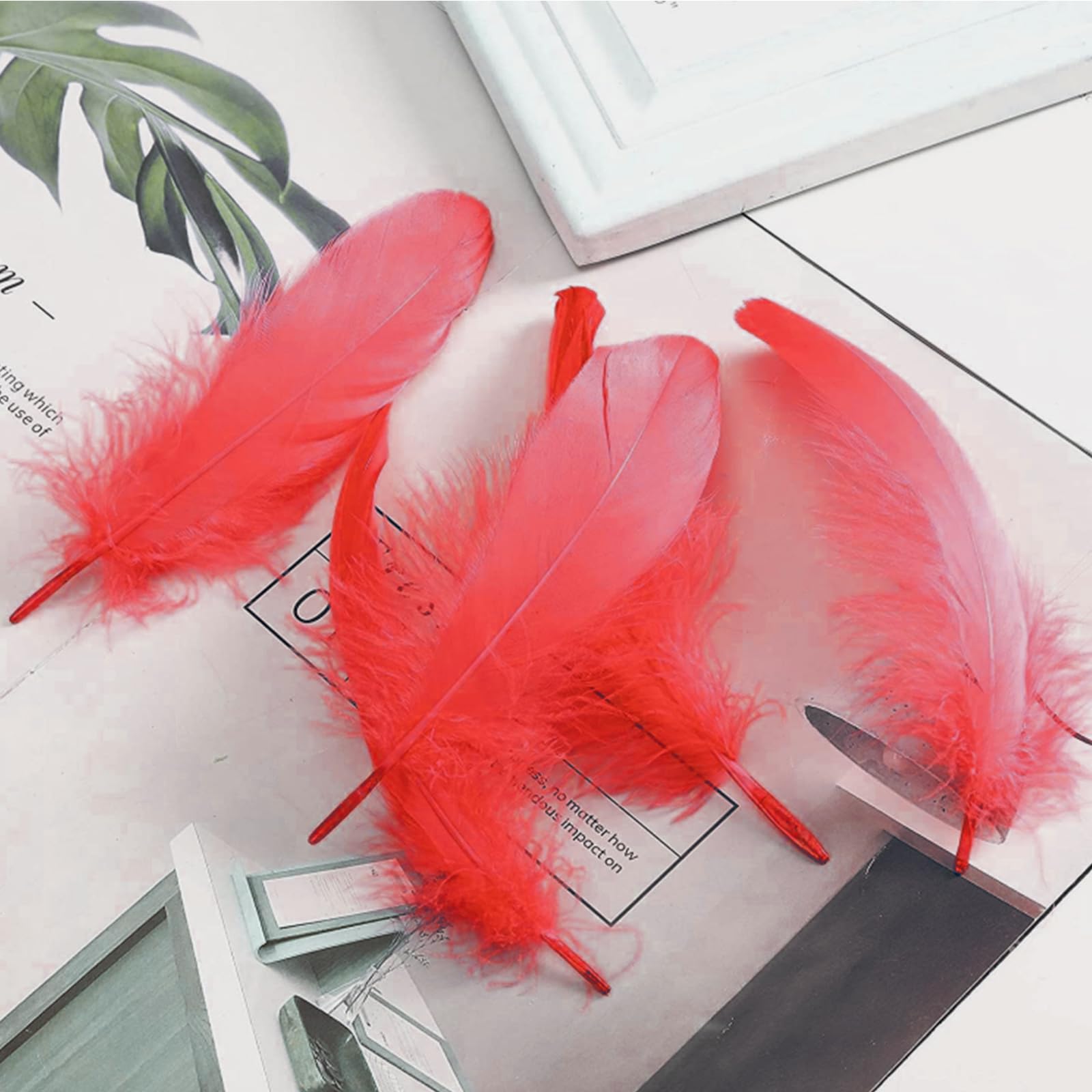 TYEQWT 400 Pcs Feathers for Crafts Ideal for Wedding Ornament Feather Mask Making, DIY Feather Boa, Dream Catcher Decoration - Image 3