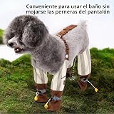 Ver la foto 6