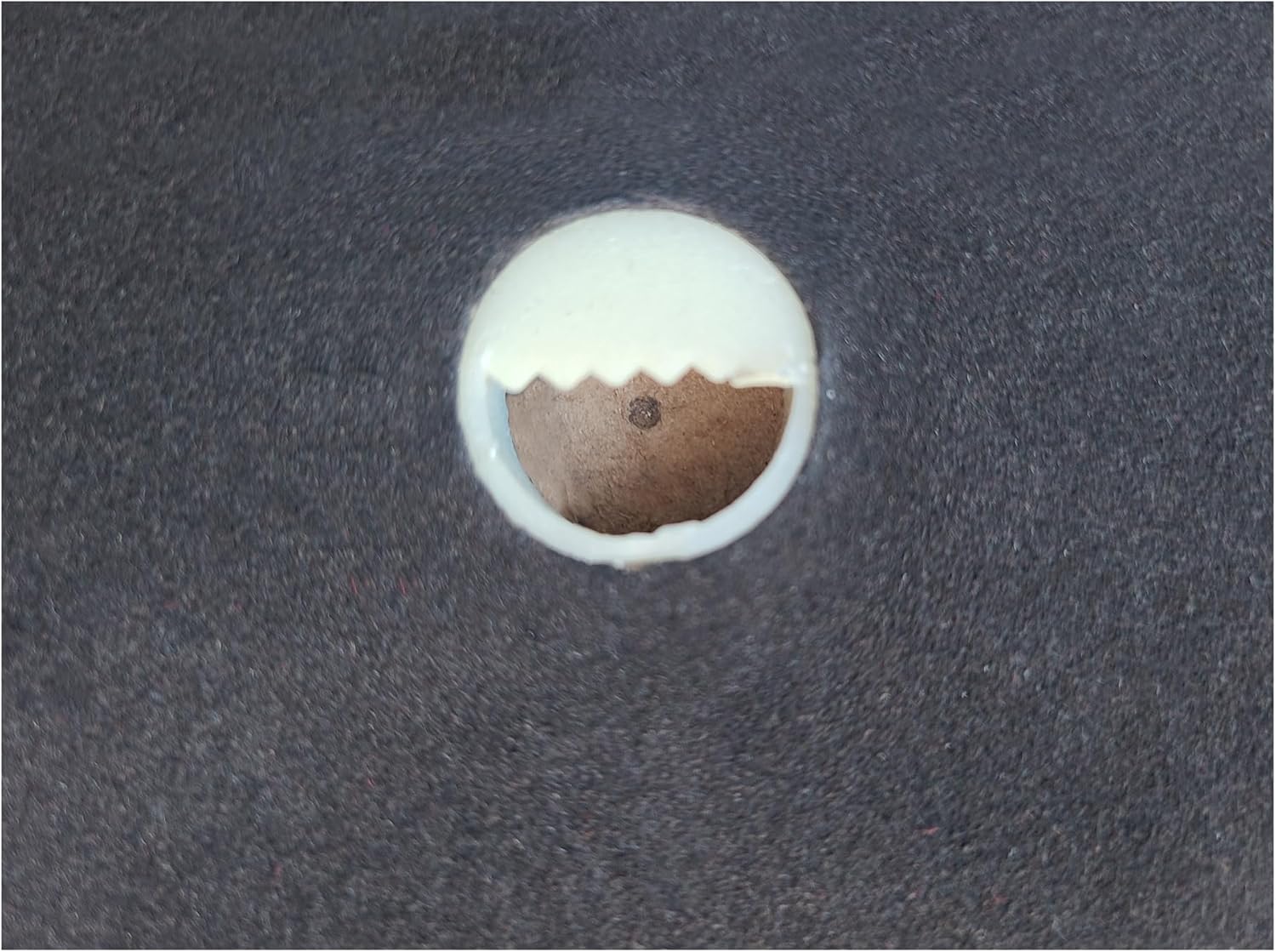 NdcSkyArt Tree of Life 3D Metal Wall Sculpture