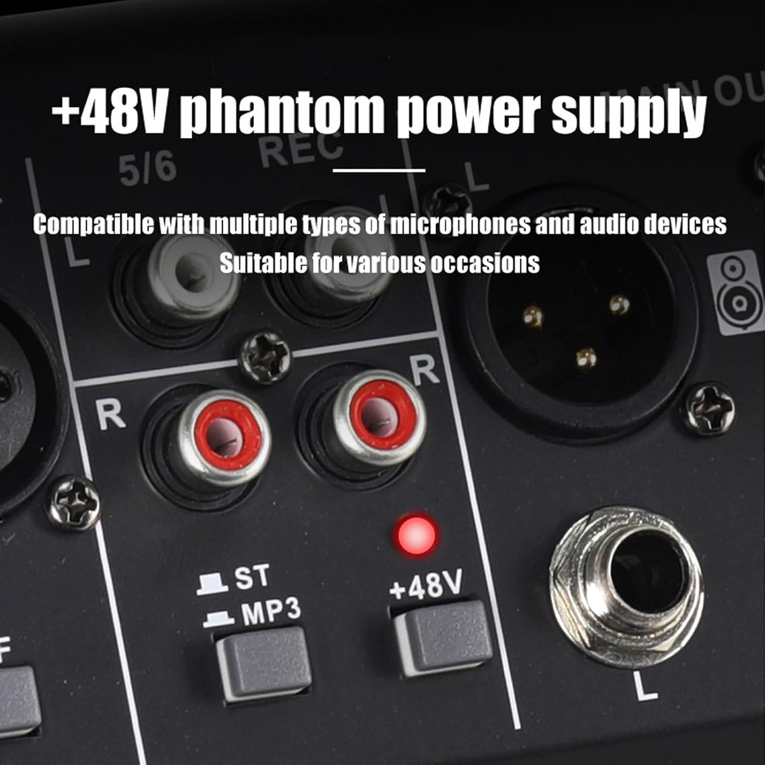 Close-up of +48V phantom power button and RCA inputs