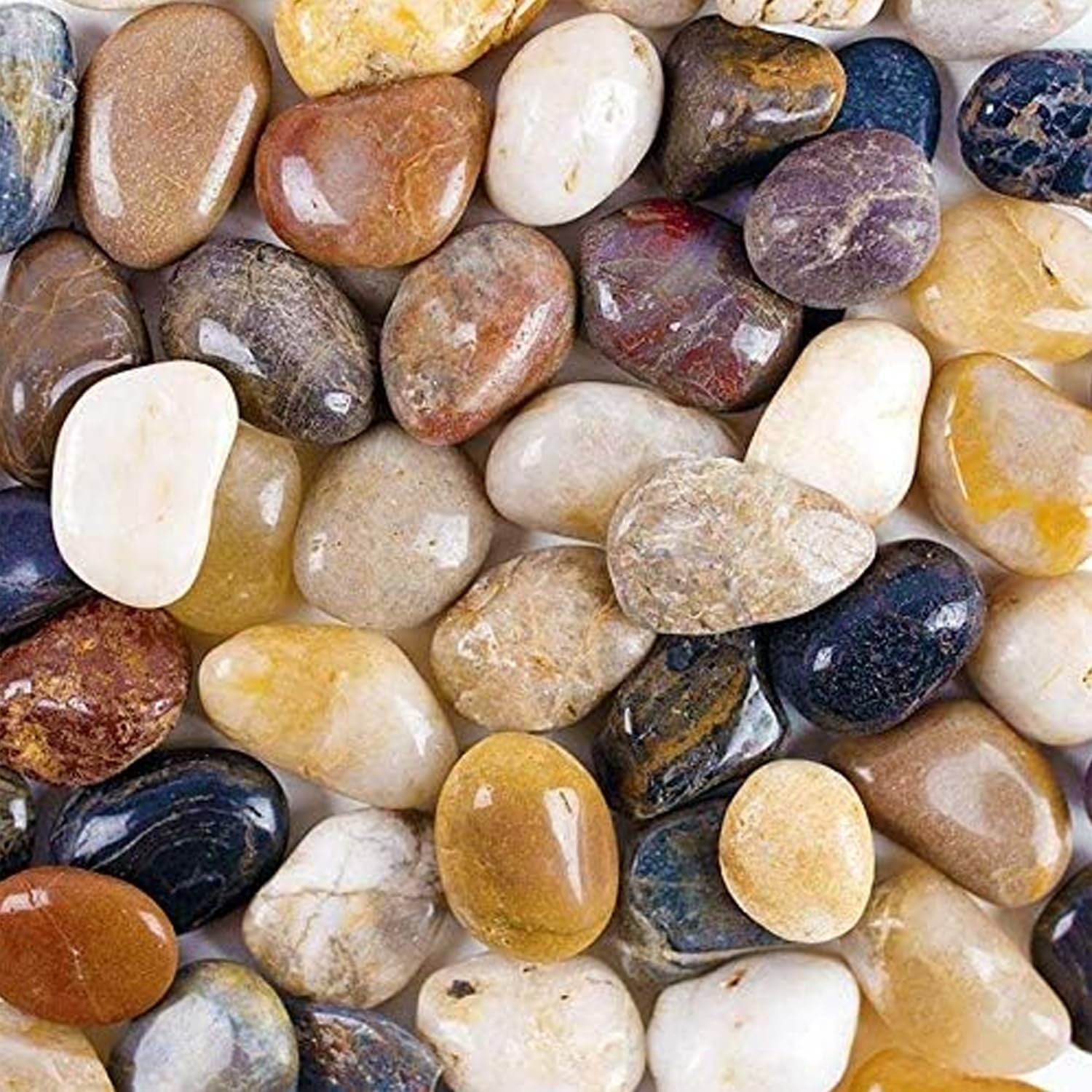 Jainsons Pet Products Aquarium Gravel River Rock Stones - Natural Polished Fish Tank Rocks for Terrarium - Decorative Pebbles for Potted Plant & Landscaping - Aquarium Substrate 1900Gm (1.9 Kg)