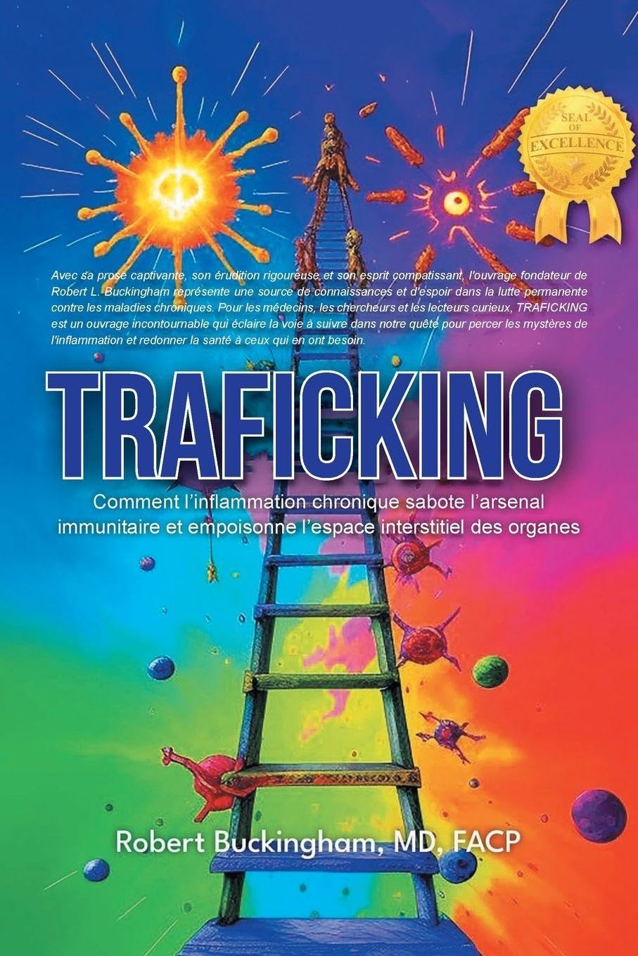 Traficking How Chronic Inflammation Sabotages the Immune Arsenal and Poisons the Interstitial Space of Organs (French Translation)