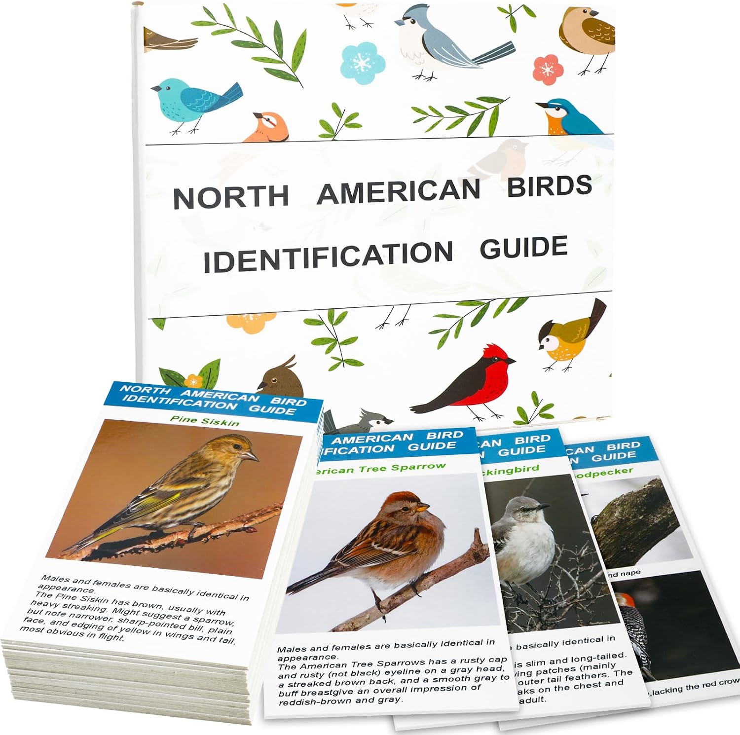 North American Bird Identification Cards, 30 Backyard Birds for Bird Lovers | Double-Sided Laminated Cards with Photos, Maps & Facts that Make Bird Identification Easy, Fun, and Educational.