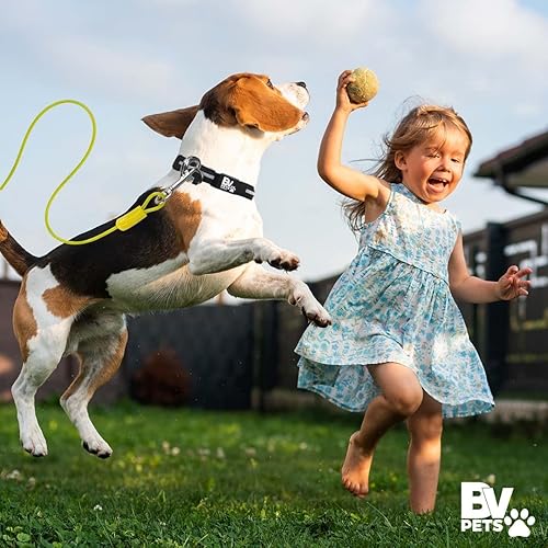 Vista 7 de BV Cable de amarre para perros de 25 pies – Cable resistente para perros de hasta 35 libras – Reflectante y libre de óxido con clips giratorios