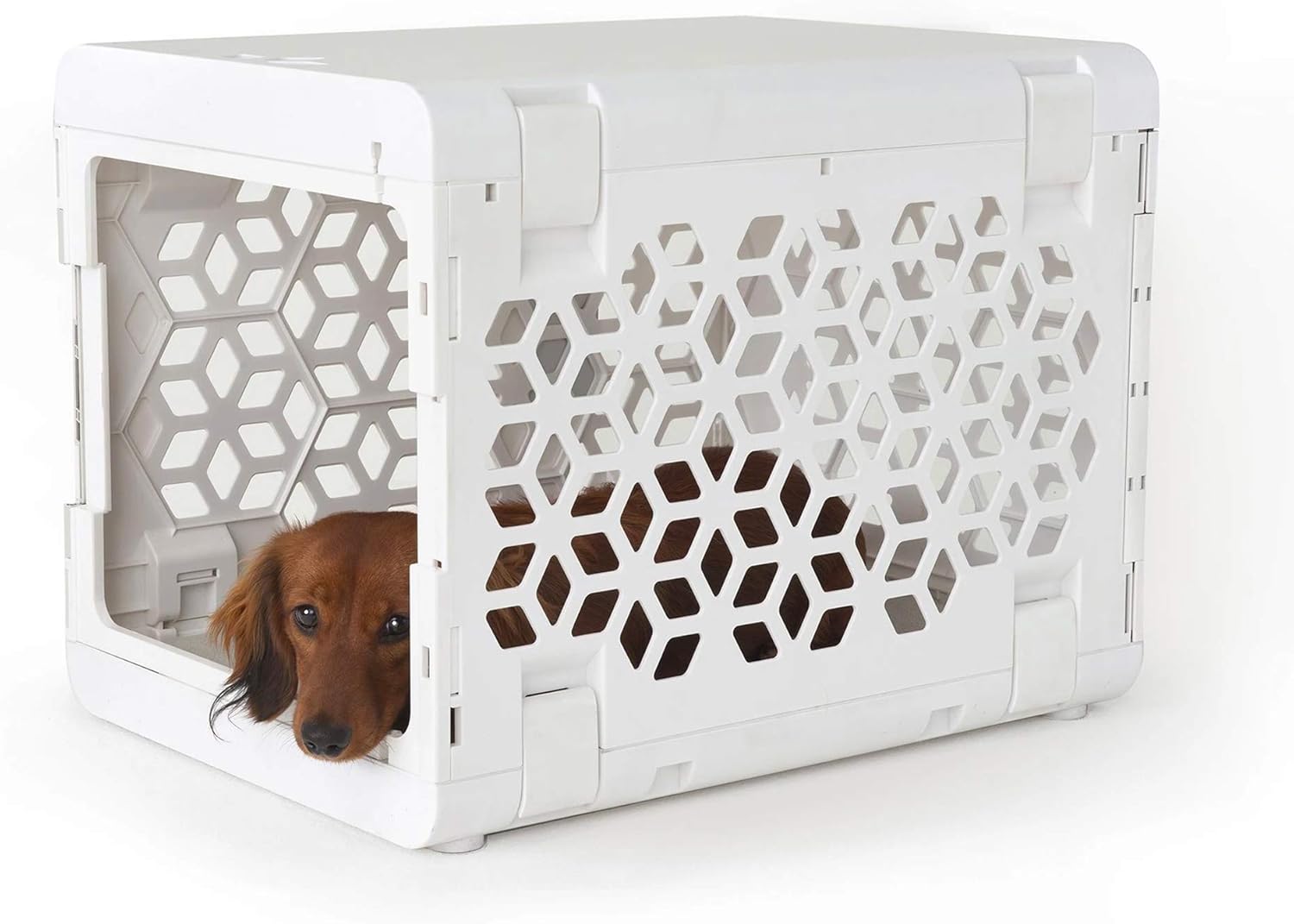 collapsible pet crate