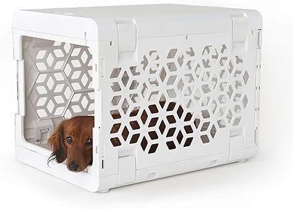 amazon small dog kennel