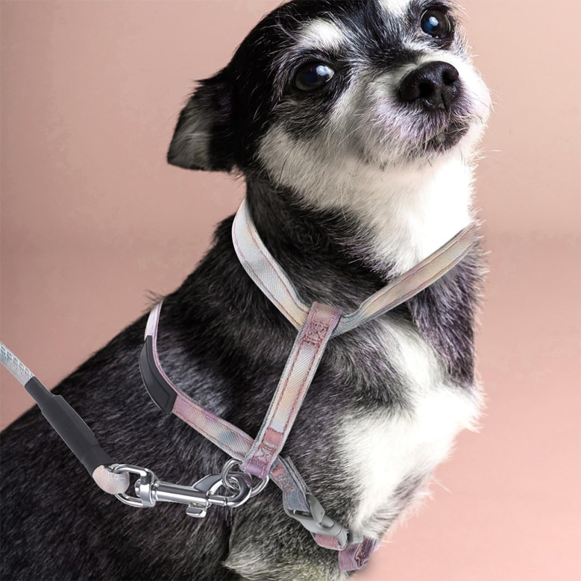 Adjustable Gradient Color Cat Leash and Harness for Small Dogs and Cats Lightweight Polyester Outdoor Walking Rope Easy to Wear and Carry