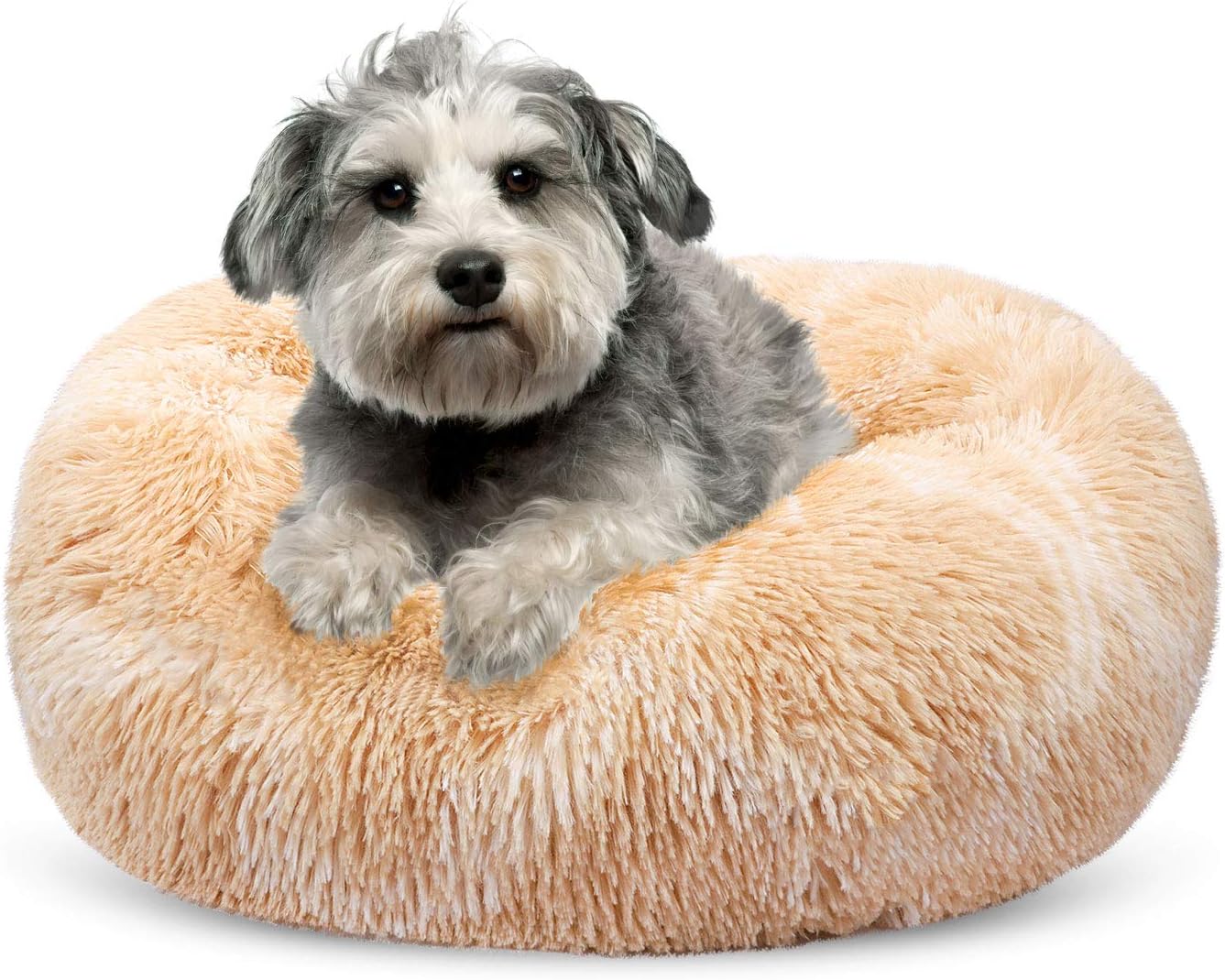 SHU UFANRO Calming Dog Beds for Small Medium Large Dogs, Small Dog Bed and Cat Bed, Washable Round Donut Pet Bed, Anti-Slip Faux Fur…