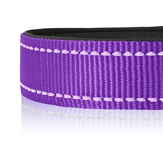 Foto 4 de 7 de HEELE Collar Perro, Collar Nylon Reflectante Neopreno Forrado Ajustable para Perro Mediano, Morado, M