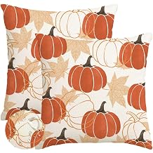 RABUSOFA Fall Outdoor Pillow Cover 18x18 Set of 2 Waterproof Orange Pumpkin