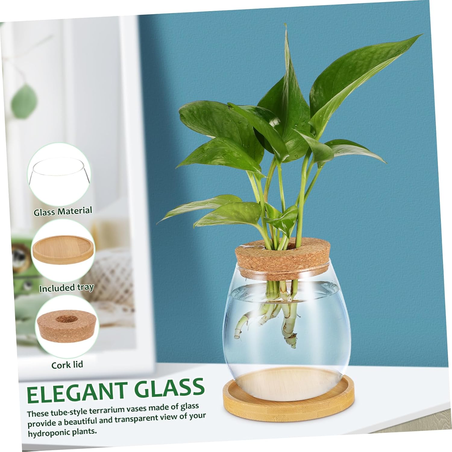 2pcs Glass Hydroponic Plant Propagation Vases with Cork Lid and Tray Elegant Indoor Terrarium for Succulents and Air Plants Planters for Home Office Decor