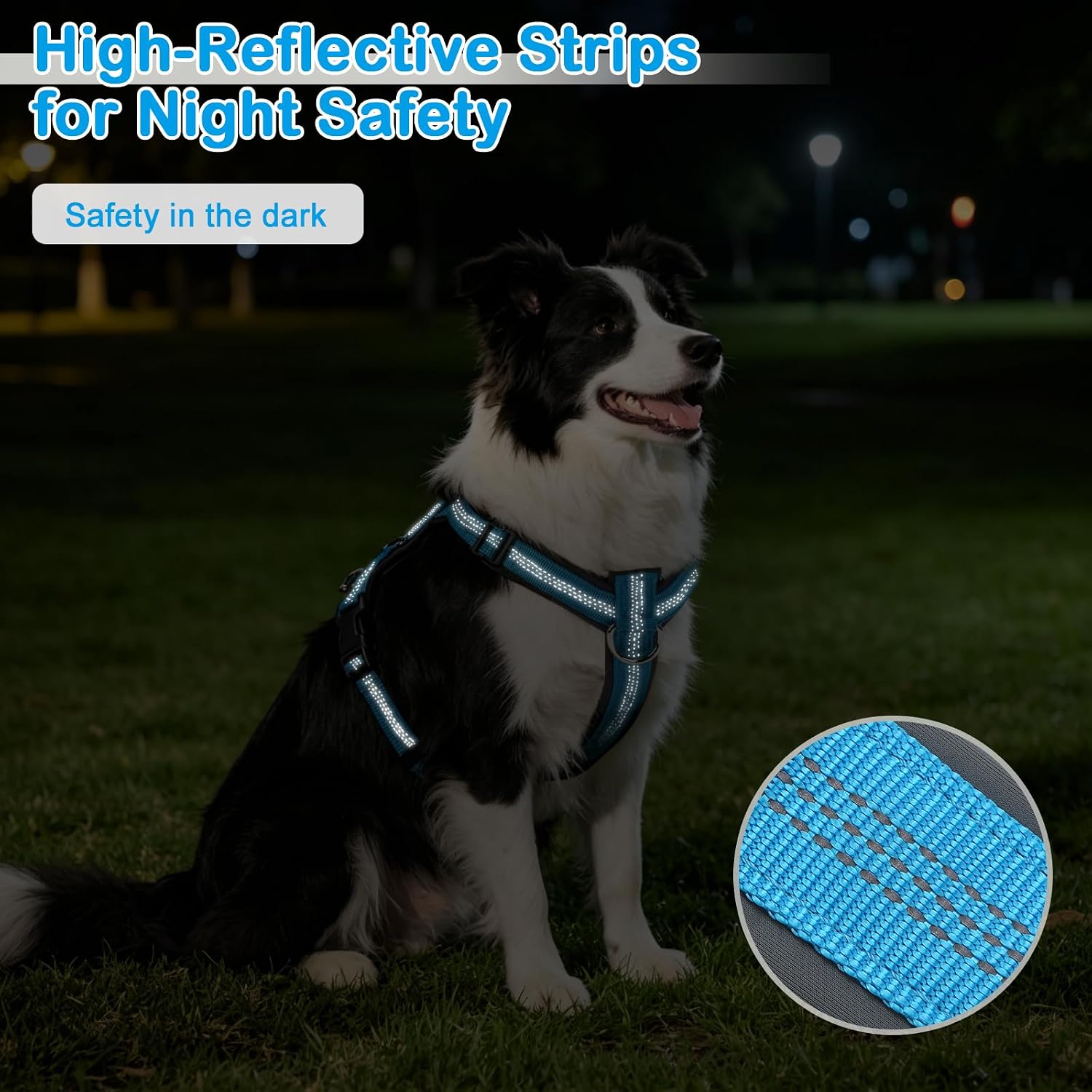 No Pull Dog Harness, Arcolma,Made to Roam Collar Design with Breathable Neoprene Padding, Y-Shaped Anti-Choking, Double D-Ring Traction, High-Reflective Strips for Daily Walking & Outdoor Adventure