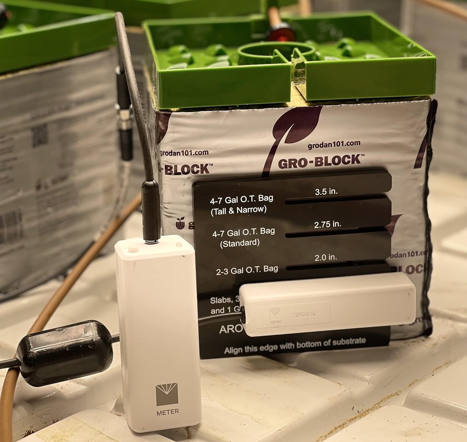 AROYA Solus sensor inserted into a grow block for measurement.