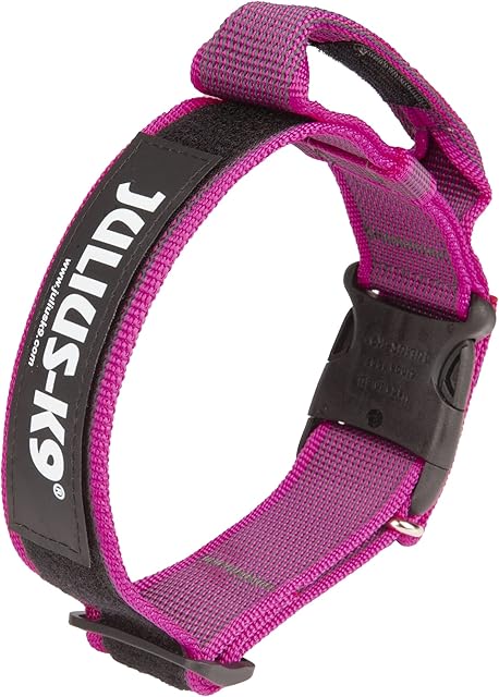 Julius-K9 Color and Gray Collar with Handle, Safety Lock and Interchangeable Patch, 40 mm (38-53 cm), Pink-Gray