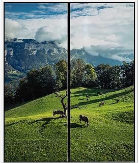 No Glue Frosted Privacy Film,Stained Glass Door Film,Reflective Static Cling Heat Control Anti UV Window Decoration Cow Green Grass Blue Green 35.4Wx78.7L-inch x2 Pcs