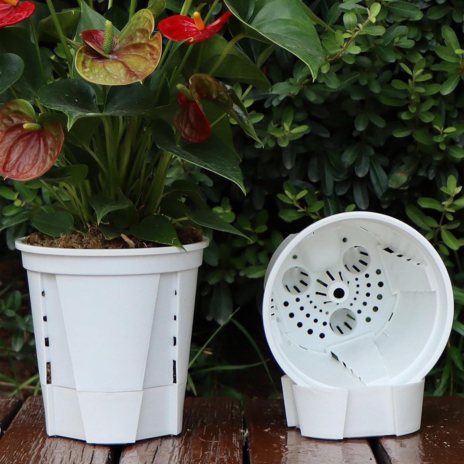 BestAlice 5 Pack Orchid Pots with Saucers, Orchid Pots with Holes, Plastic Plant Pot Indoor and Outdoor, with Holes for Repotting., Breathable Slotted Orchids Planters for Indoor and(White-7in)