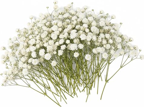 JEKUGOT 100 Pcs Dried Flowers for Crafts,Gypsophila Artificial Flowers, White Baby Breath Flower Artificial for Vase Flower Arrangement, Craft DIY, Wedding Decorations, Home, Table Centerpieces
