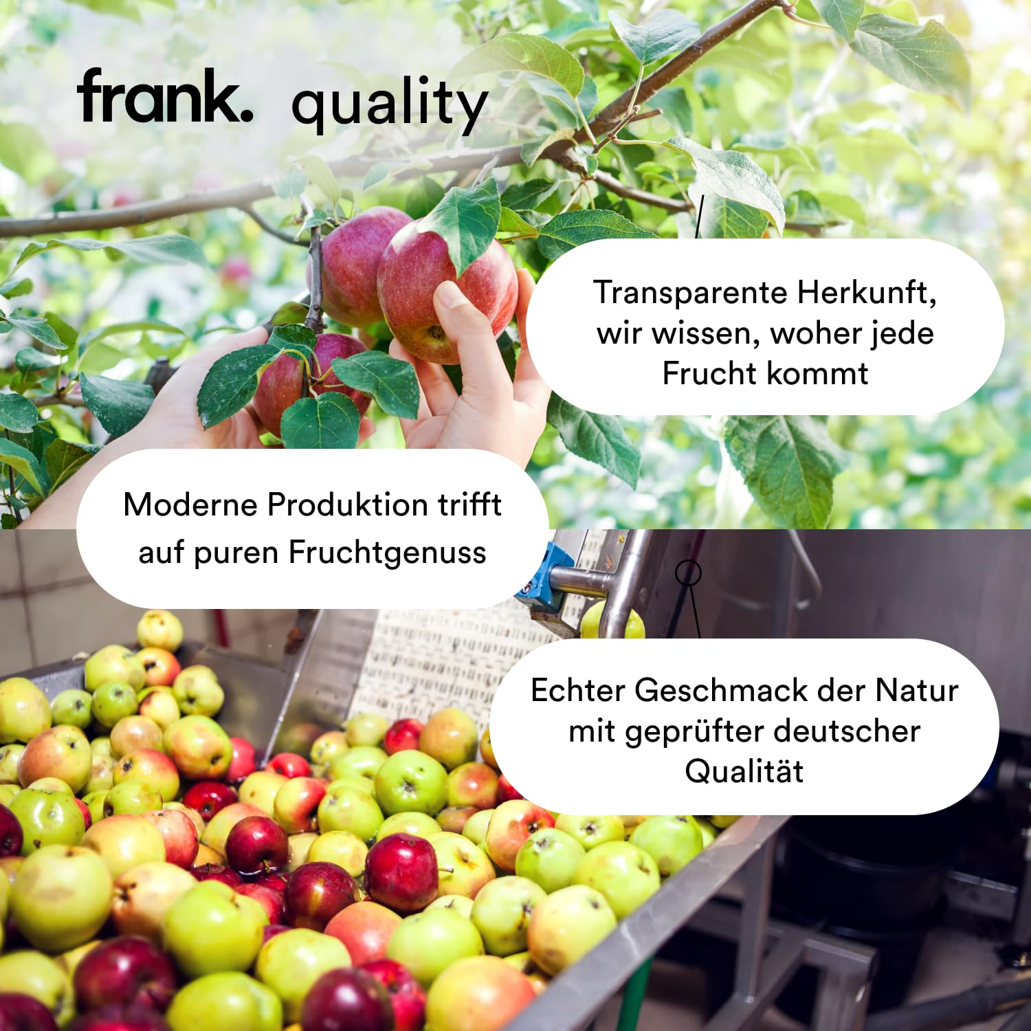 Frank Juice Saftkur Probierpaket 10x 330ml Kaltgepresste Säfte Obst Gemüse ohne Zusätze